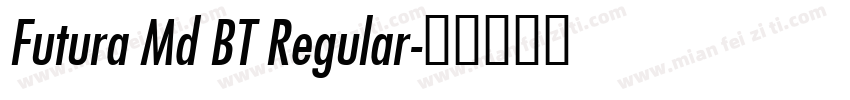 Futura Md BT Regular字体转换
